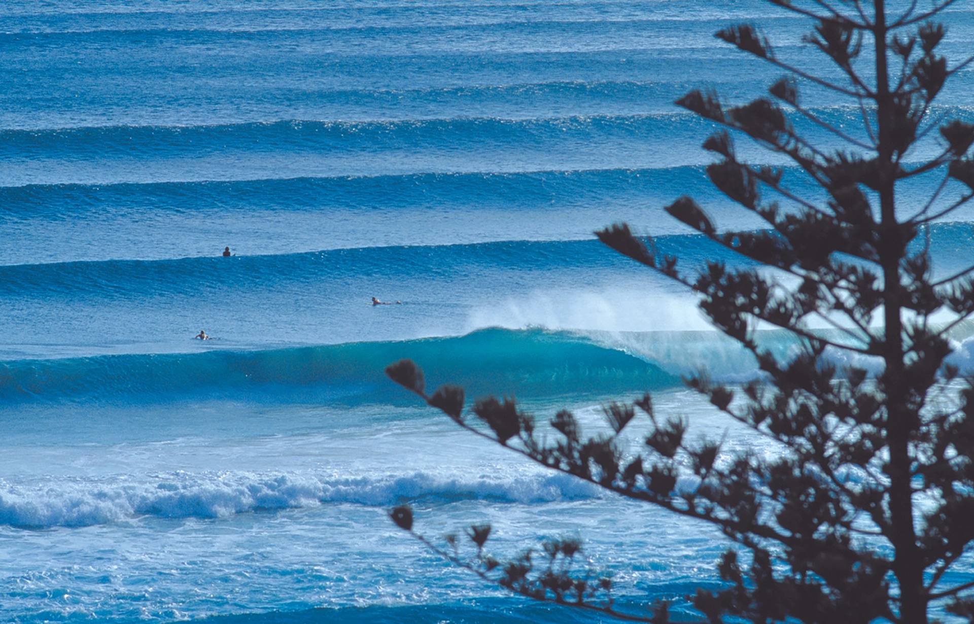 Snapper Rocks by Tim Mckenna