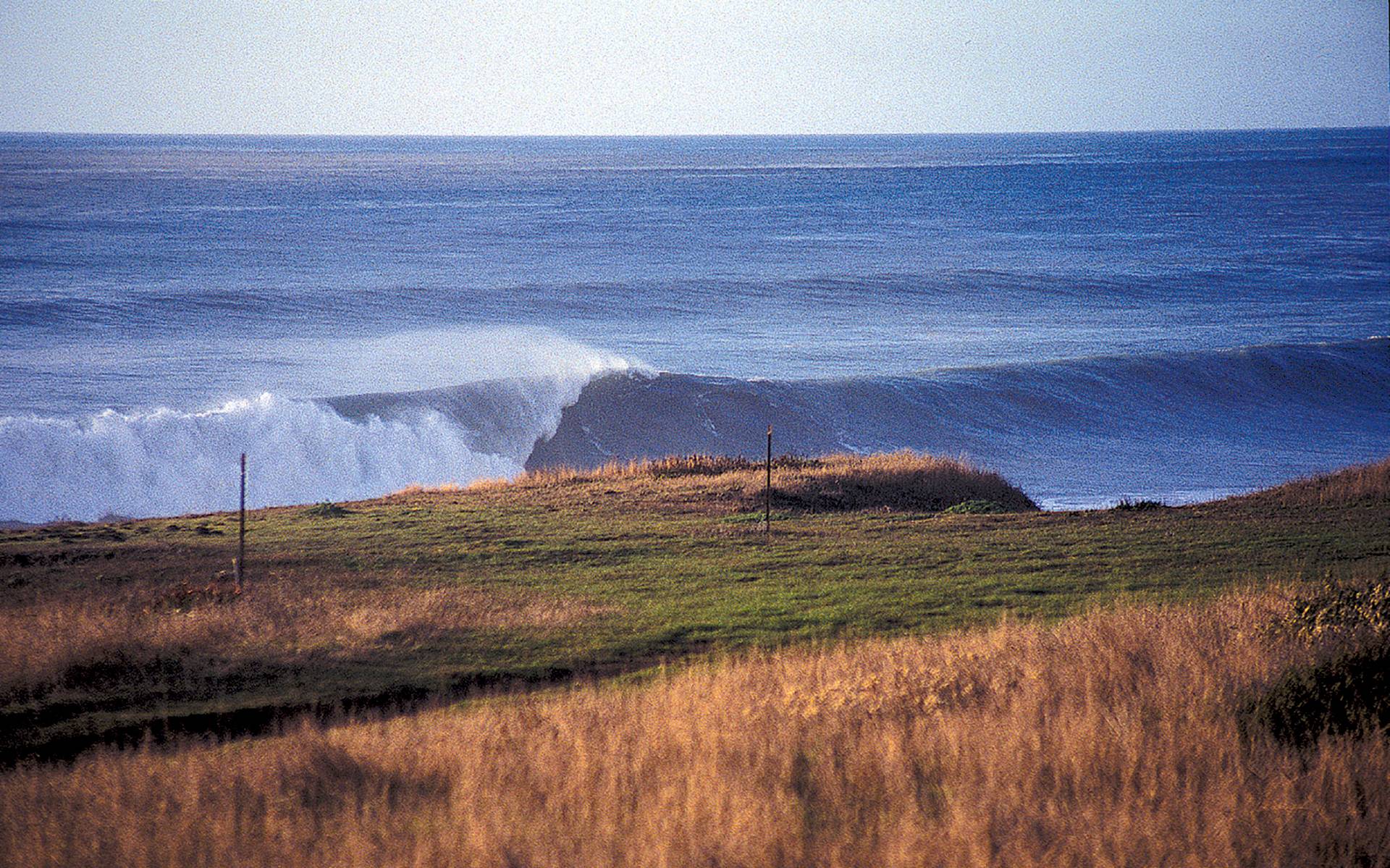 Southern Mendocino by Michael Kew