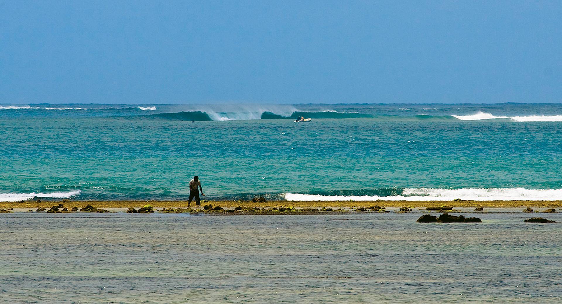 Malindi Reefs by Michael Kew