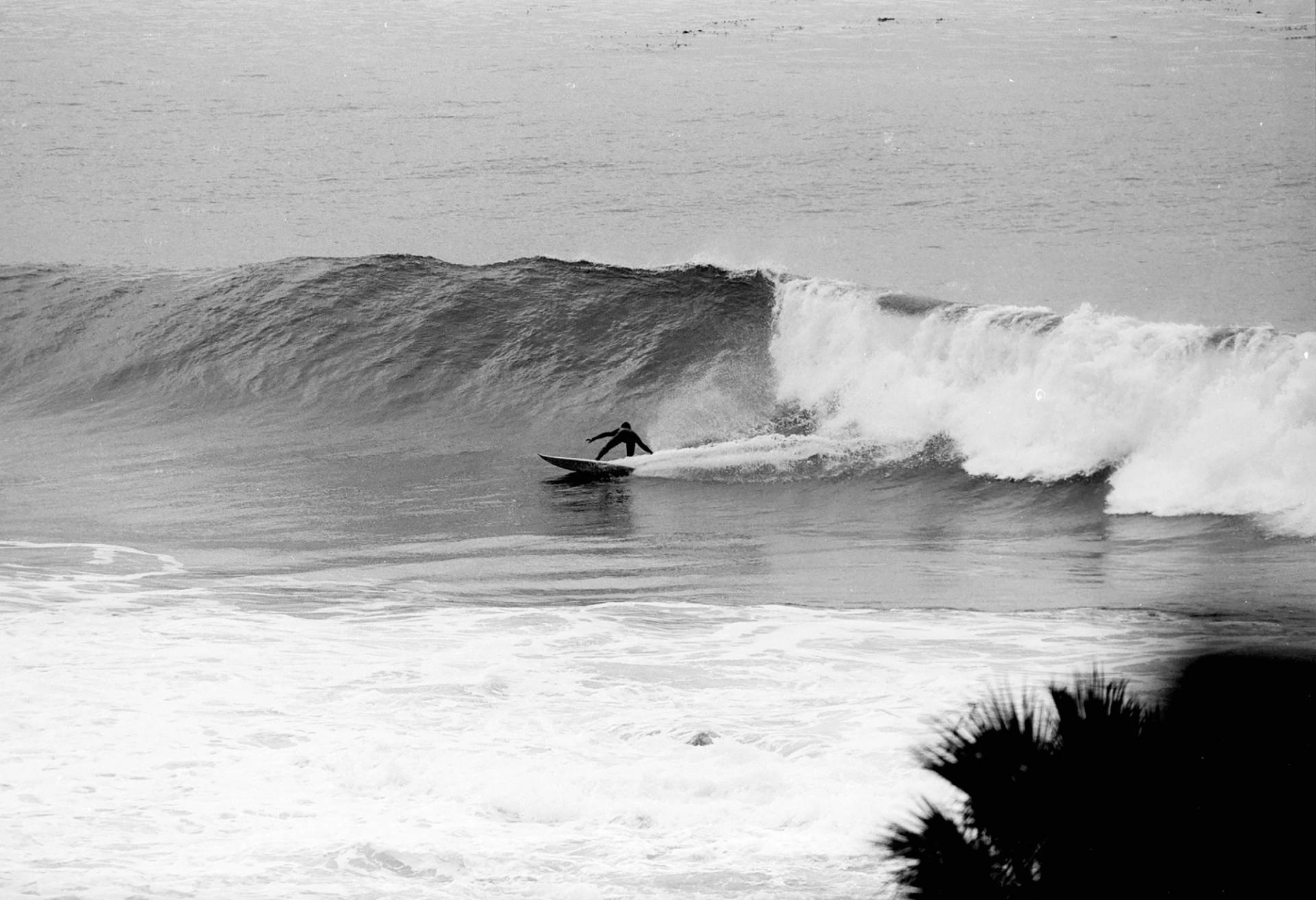 Rosarito by Tom Dugan ESM