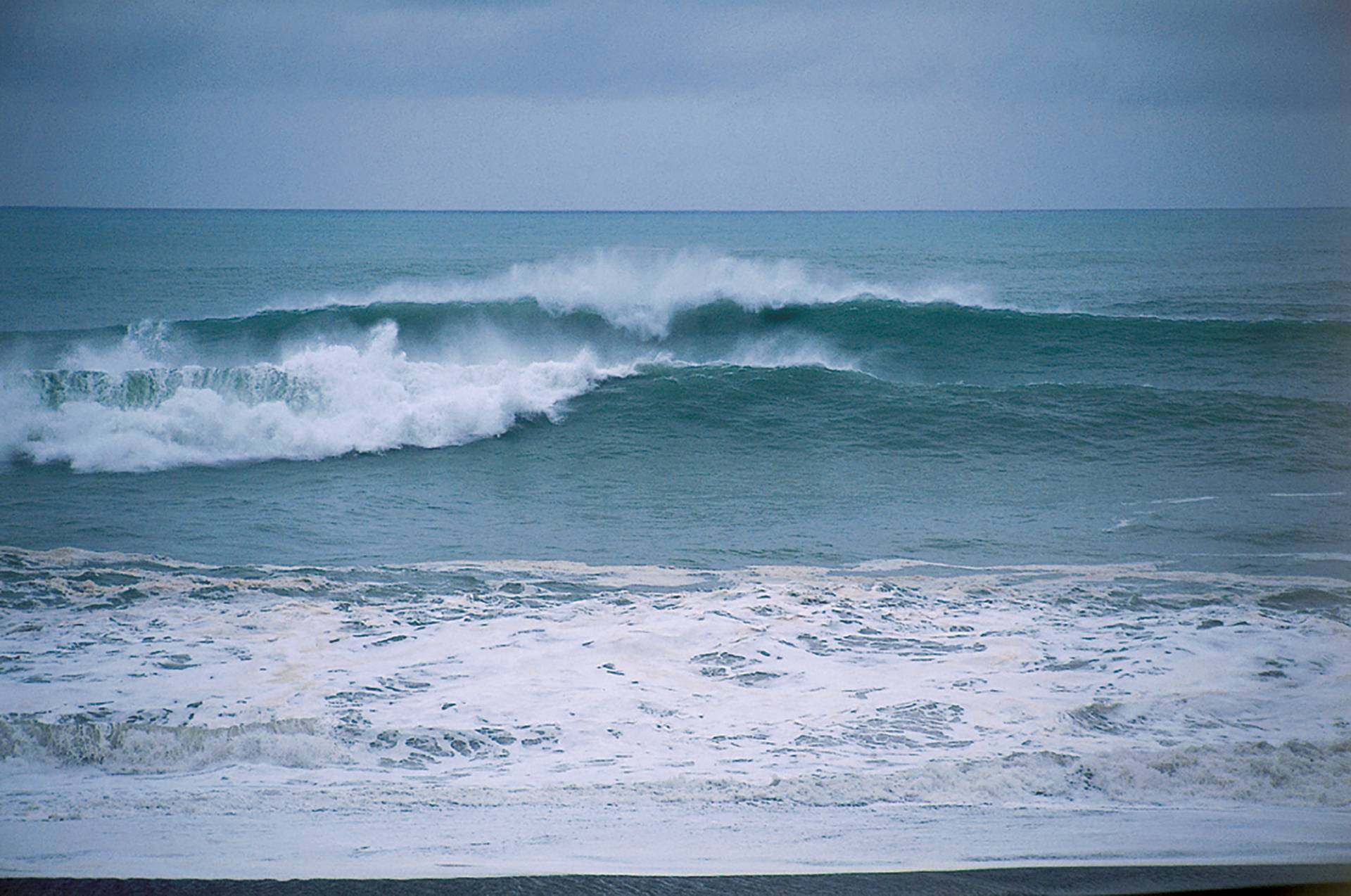 Marin County by Michael Kew