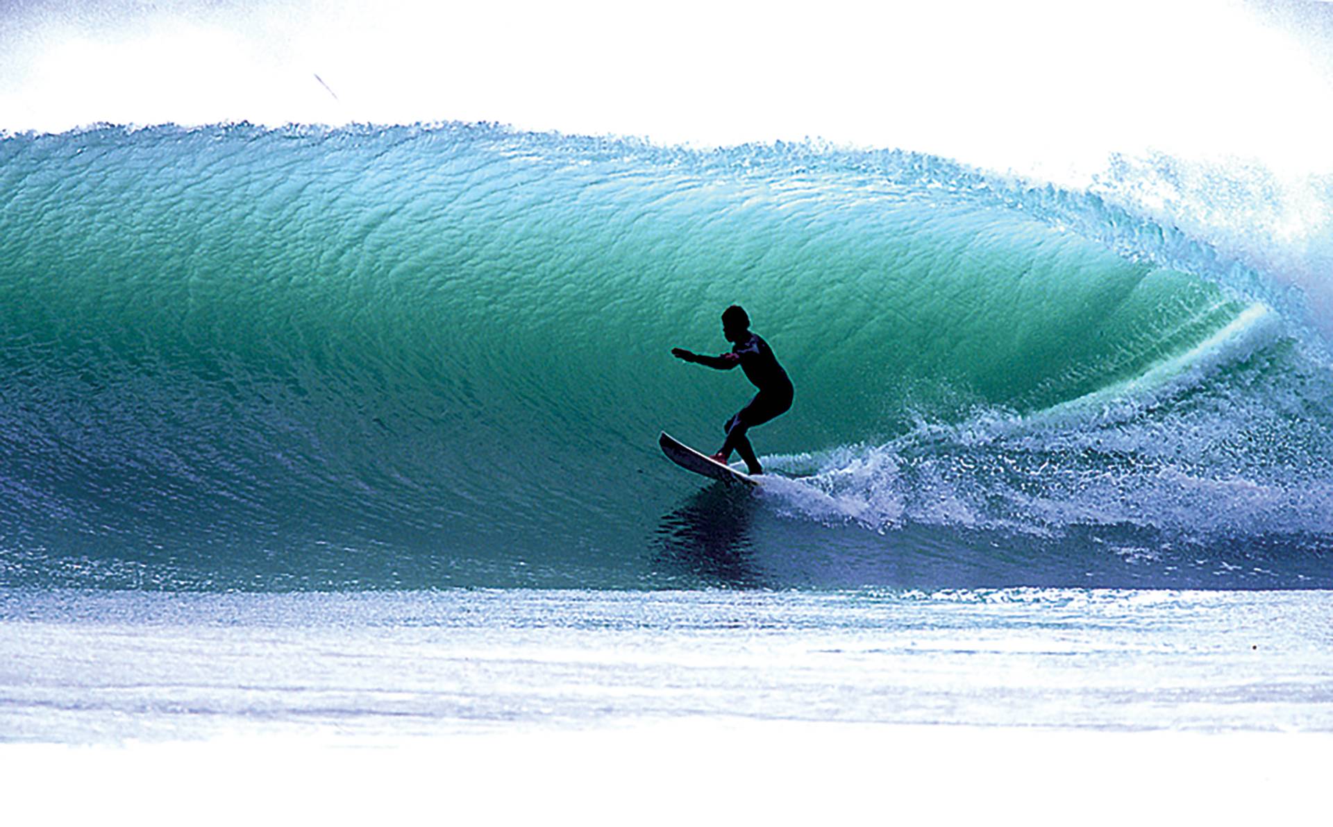 Aramoana by Warren Hawke