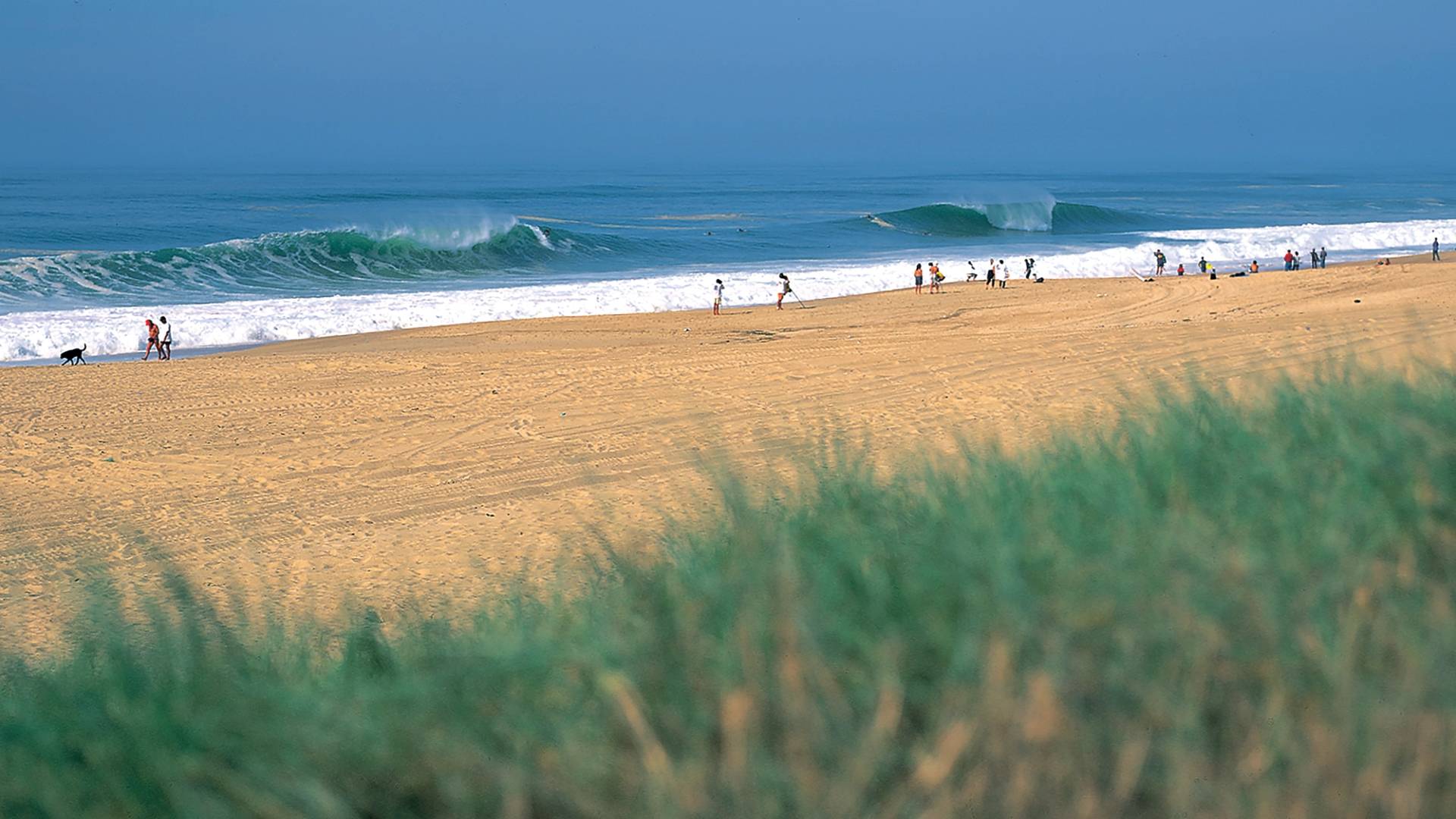 Les Landes by Eric Chauché