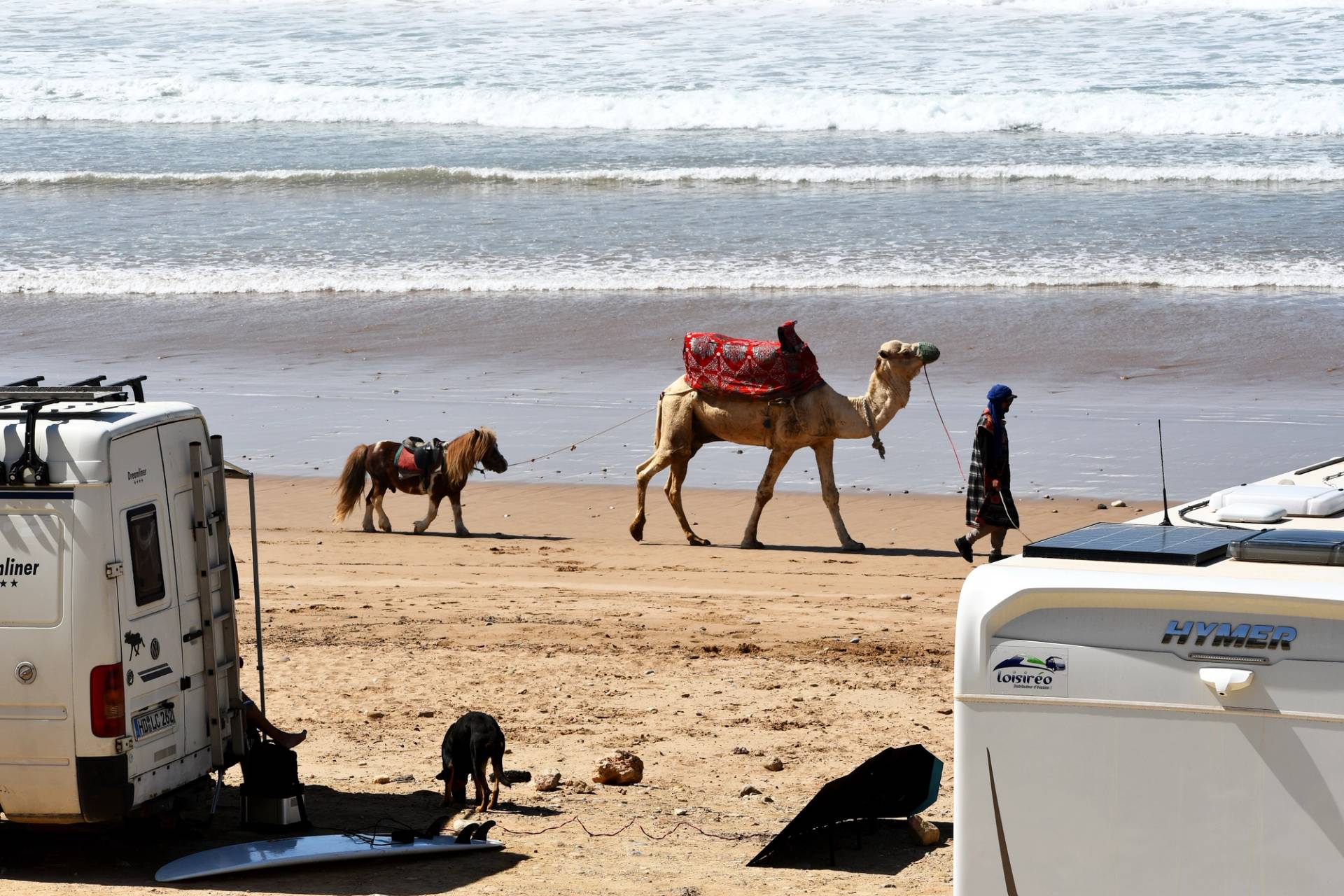 Camels and Campervans by Bruce Sutherland