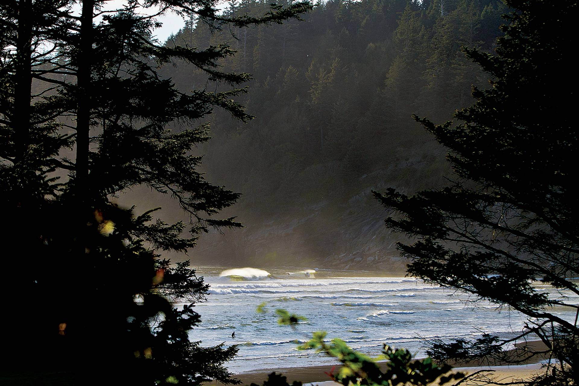 Cape Lookout by Mark McInnis