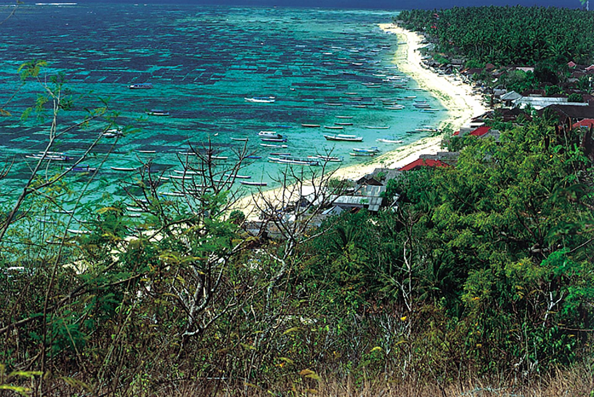 Nusa Lembongan Seaweed farms by Geoff Ragatz