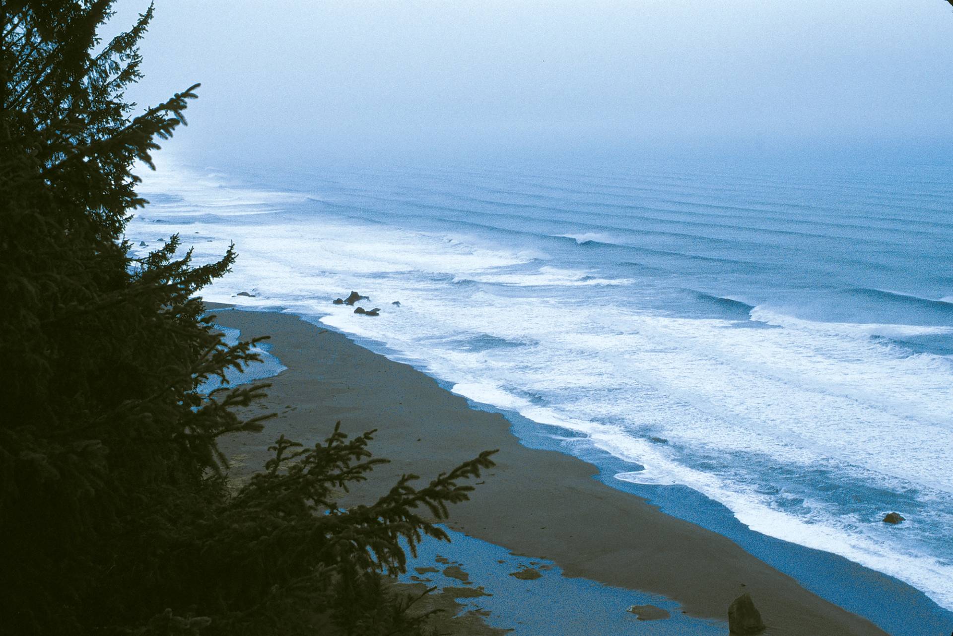 Del Norte County by Michael Kew