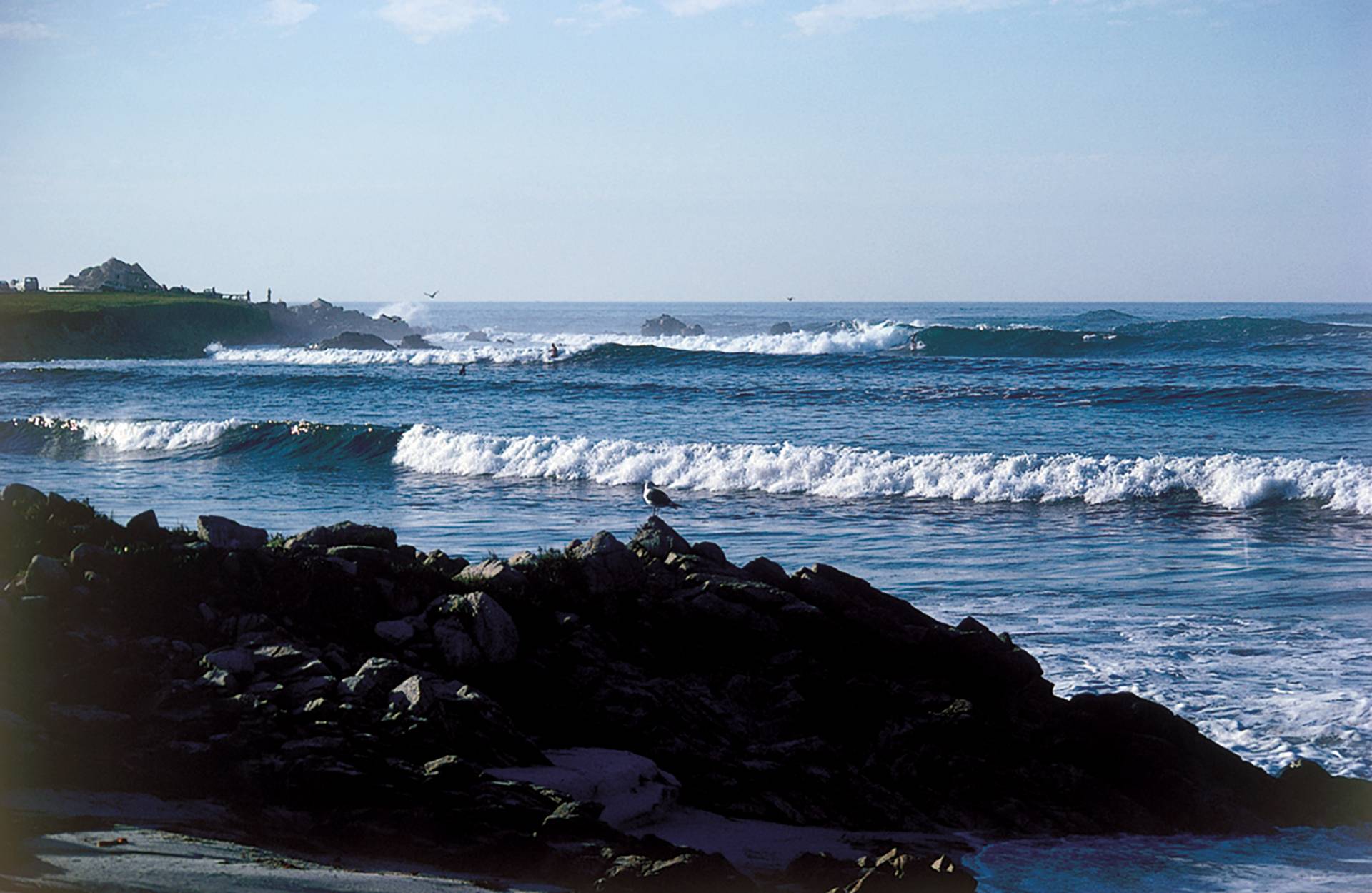 Spanish Bay - Cobblestones by Don Balch