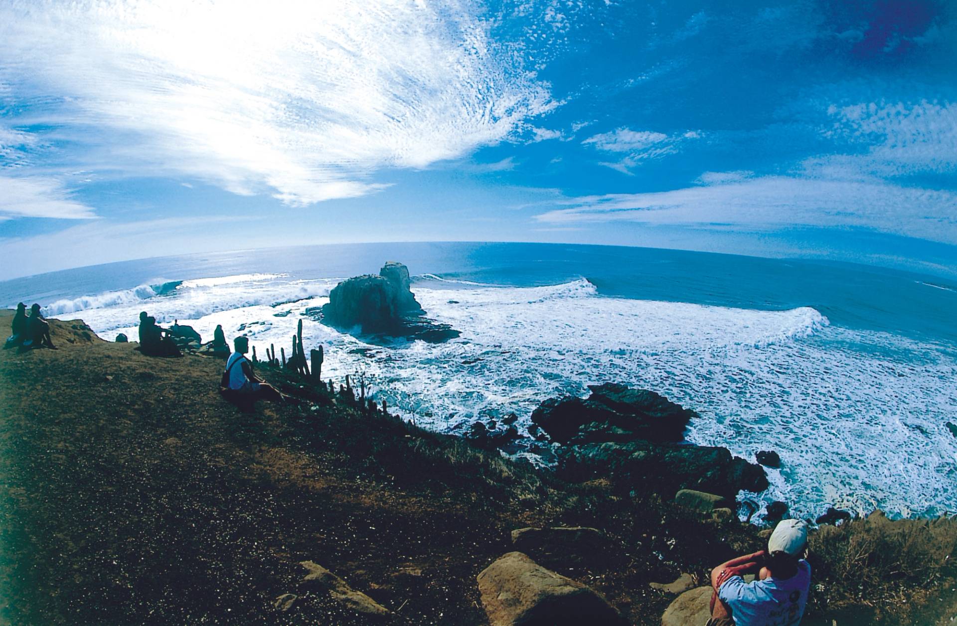 Punta de Lobos by Alex Williams