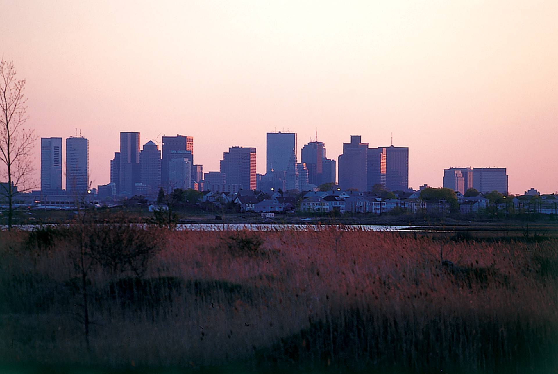 Boston Skyline by Paul Kennedy