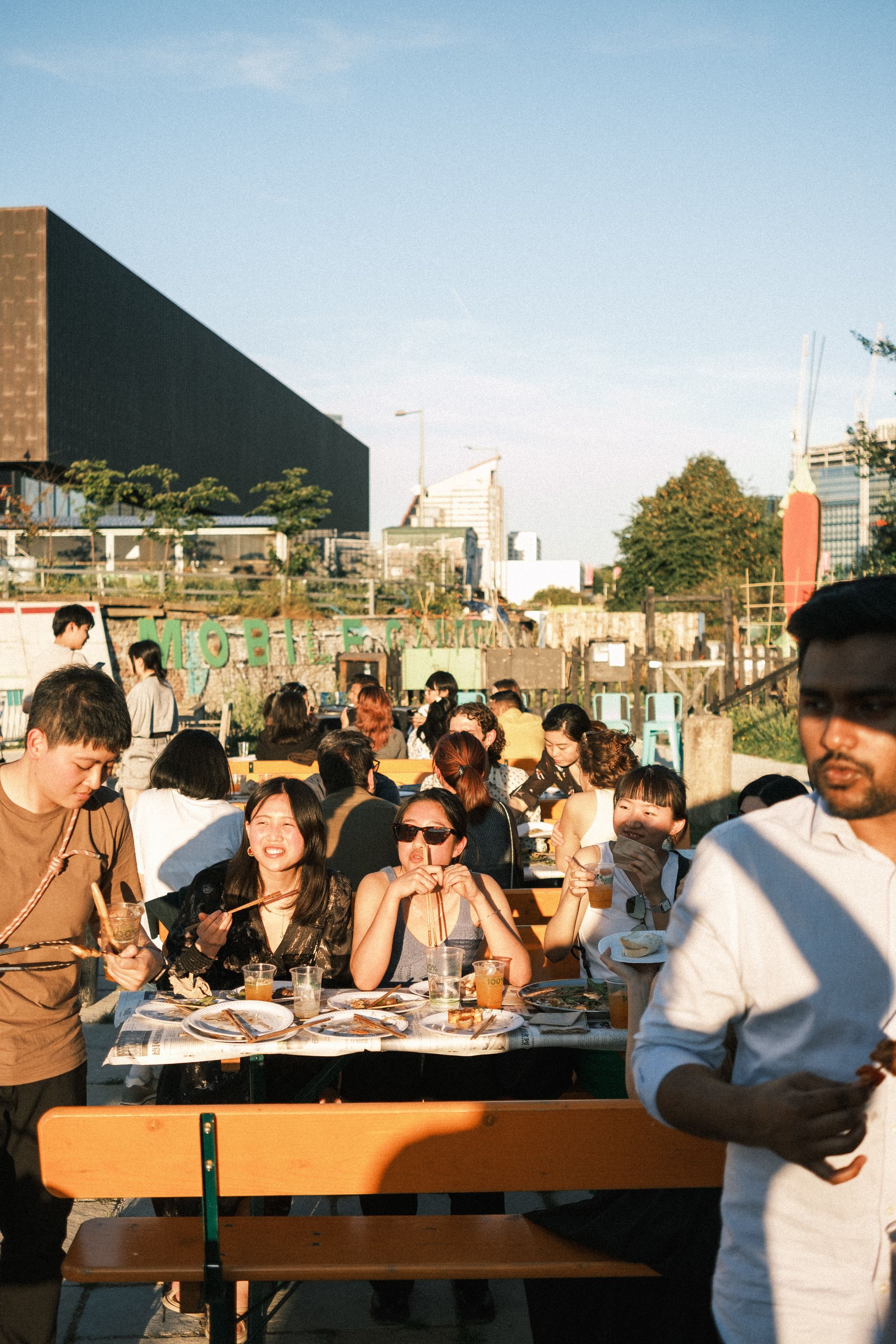 Summer, party, BBQ, Sunset
