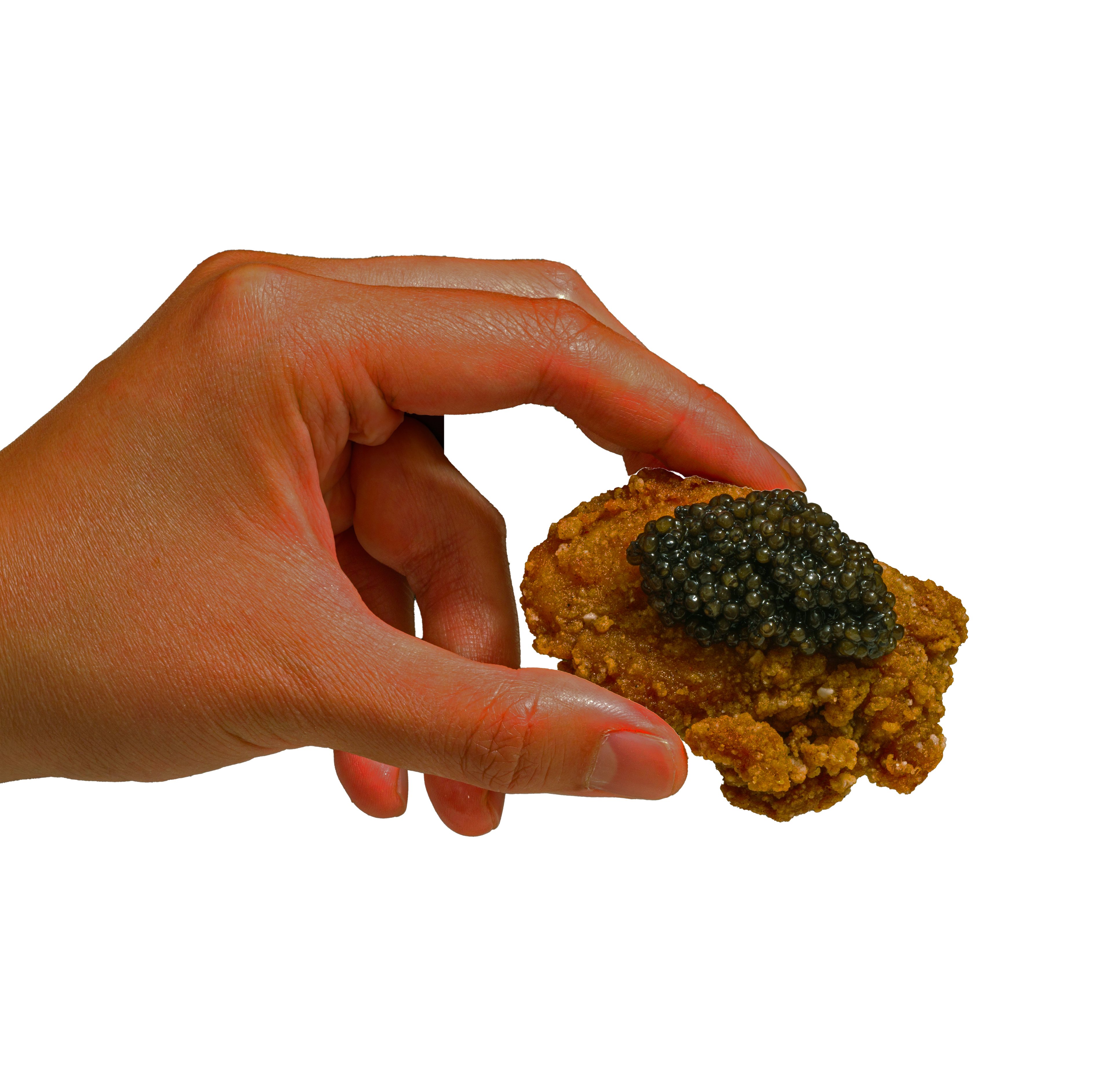 fried chicken and caviar for karaoke