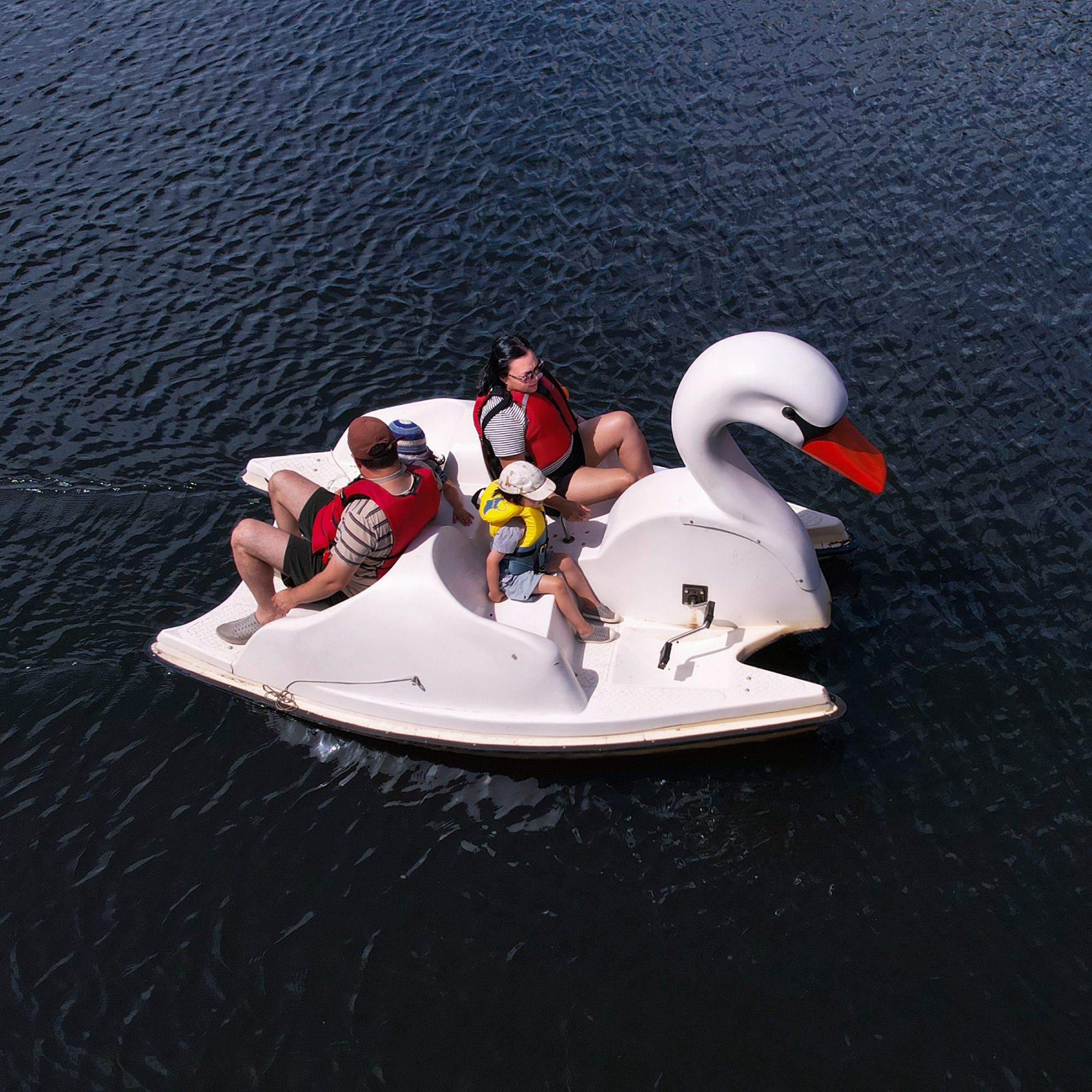 Swan Boat