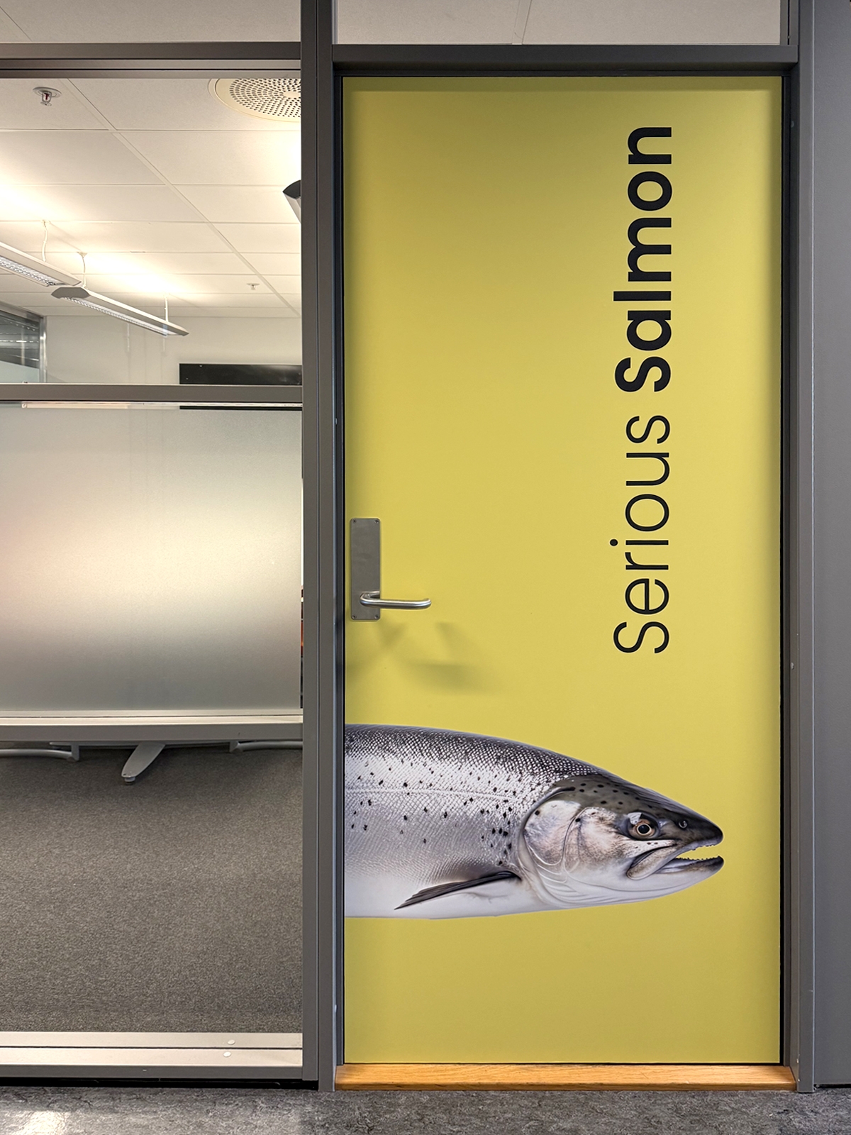 Serious salmon door