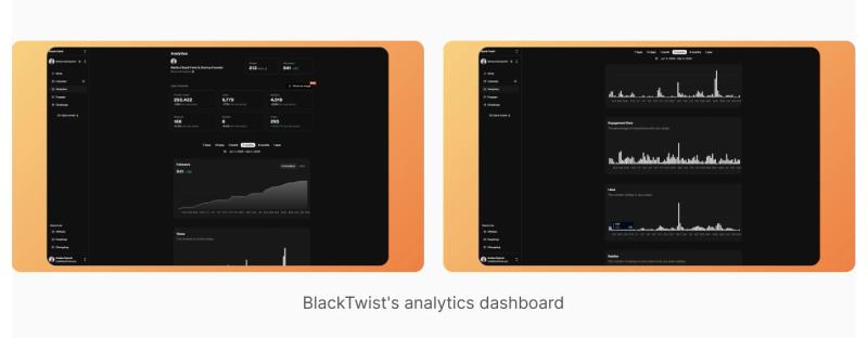 BlackTwist app interface displaying analytics by social media posts and threads.