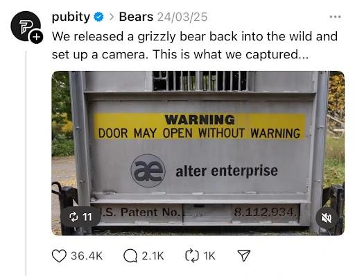 Viral content example showing creator post about releasing a grizzly bear with warning sign on enclosure.