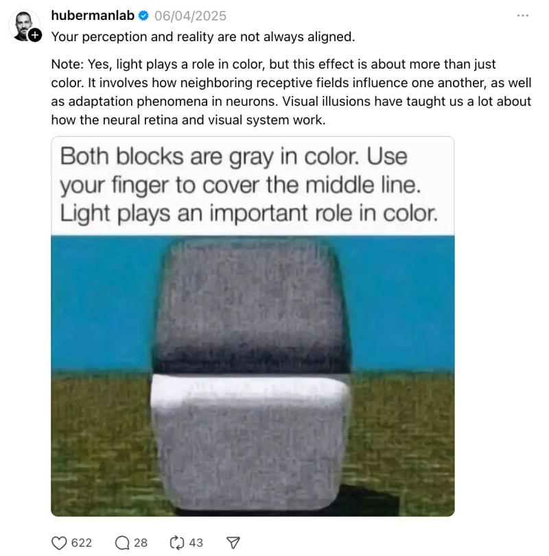 Myth-buster Threads content idea example showing visual illusion post explaining how light affects color perception and reality."
