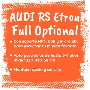 Audi RS eTron - full optional