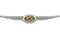 Chrysler