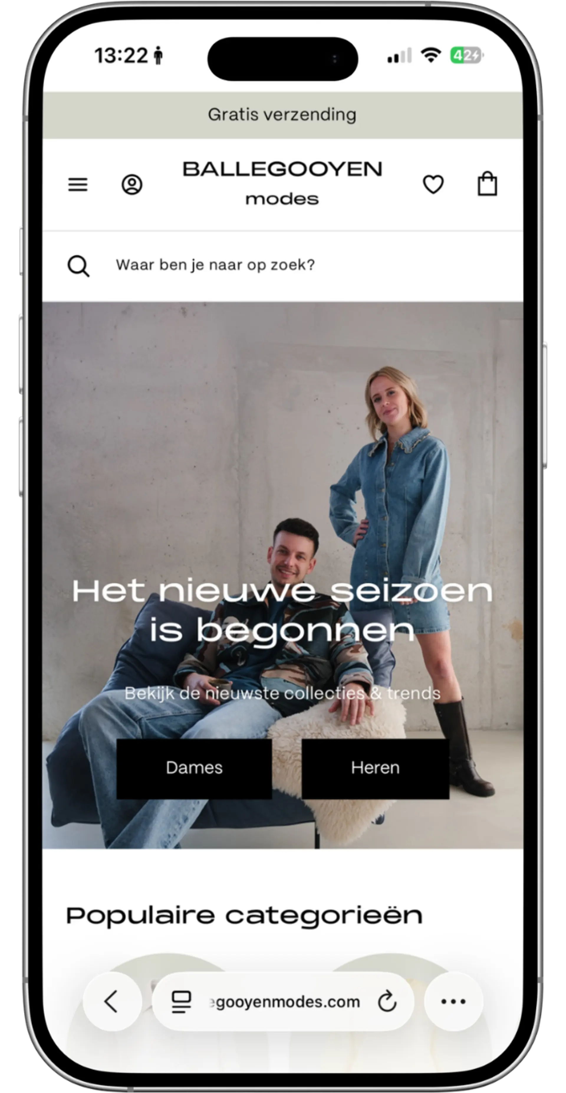 Ballegooyen Homepage