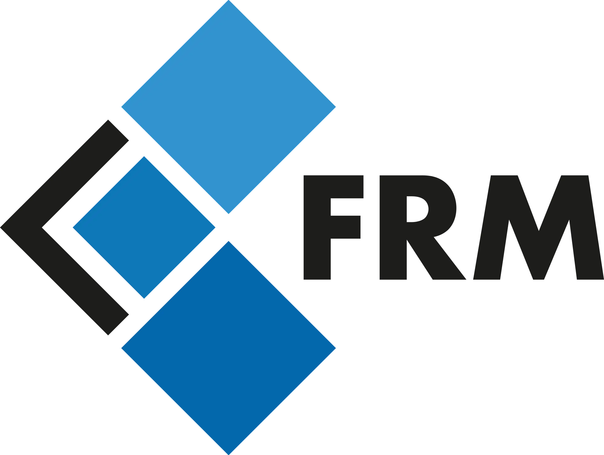 FRM Logo