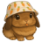 icon of Copi