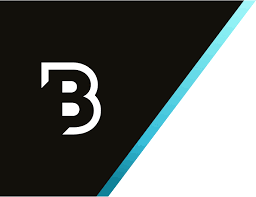 BrandBridge Partners logo