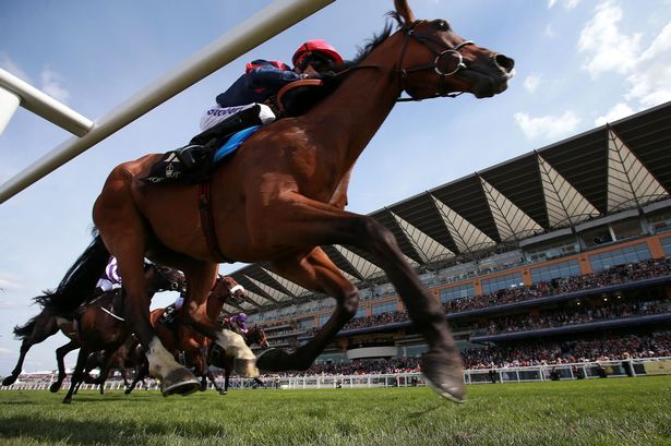 Insider's Guide to Royal Ascot: Top Horse Racing Tips for Day 1