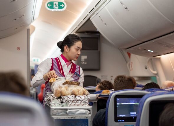 Unlocking the Mystery: Flight Attendant's Code Words for Favorite Passengers