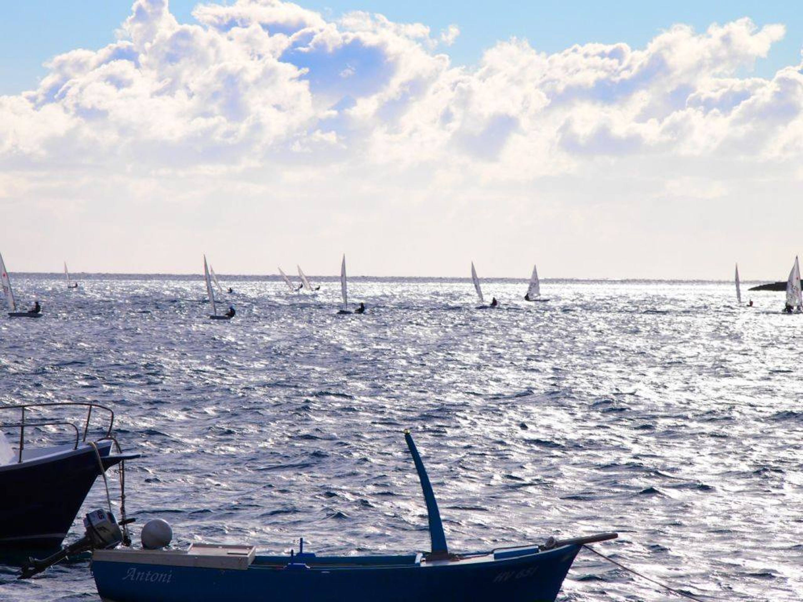 36. Međunarodna novogodišnja regata — Laser, Hvar, prosinac 2012. — fotografija 31 od 77