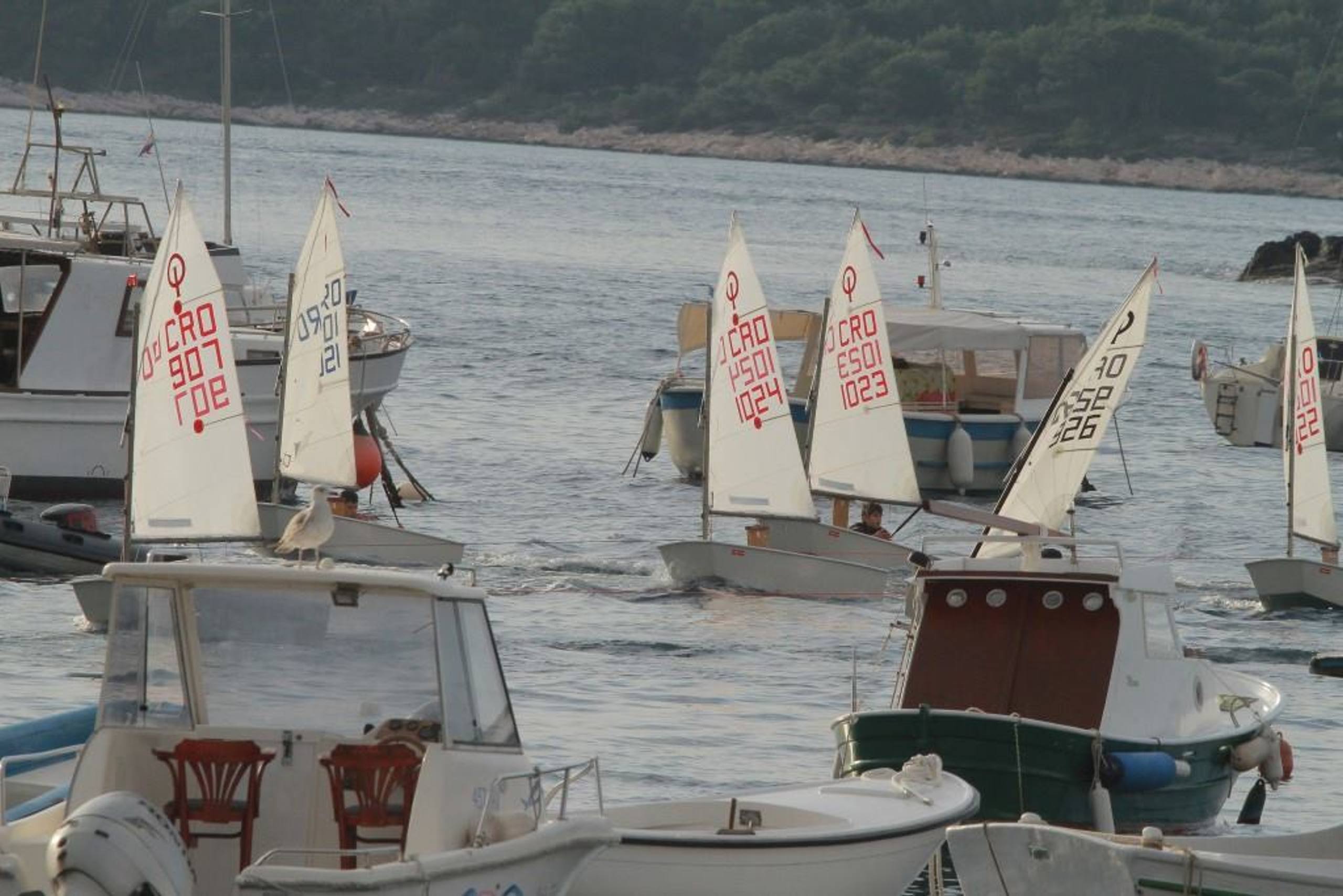 37. Međunarodna novogodišnja regata — Kragić, Hvar, prosinac 2013. — fotografija 68 od 100