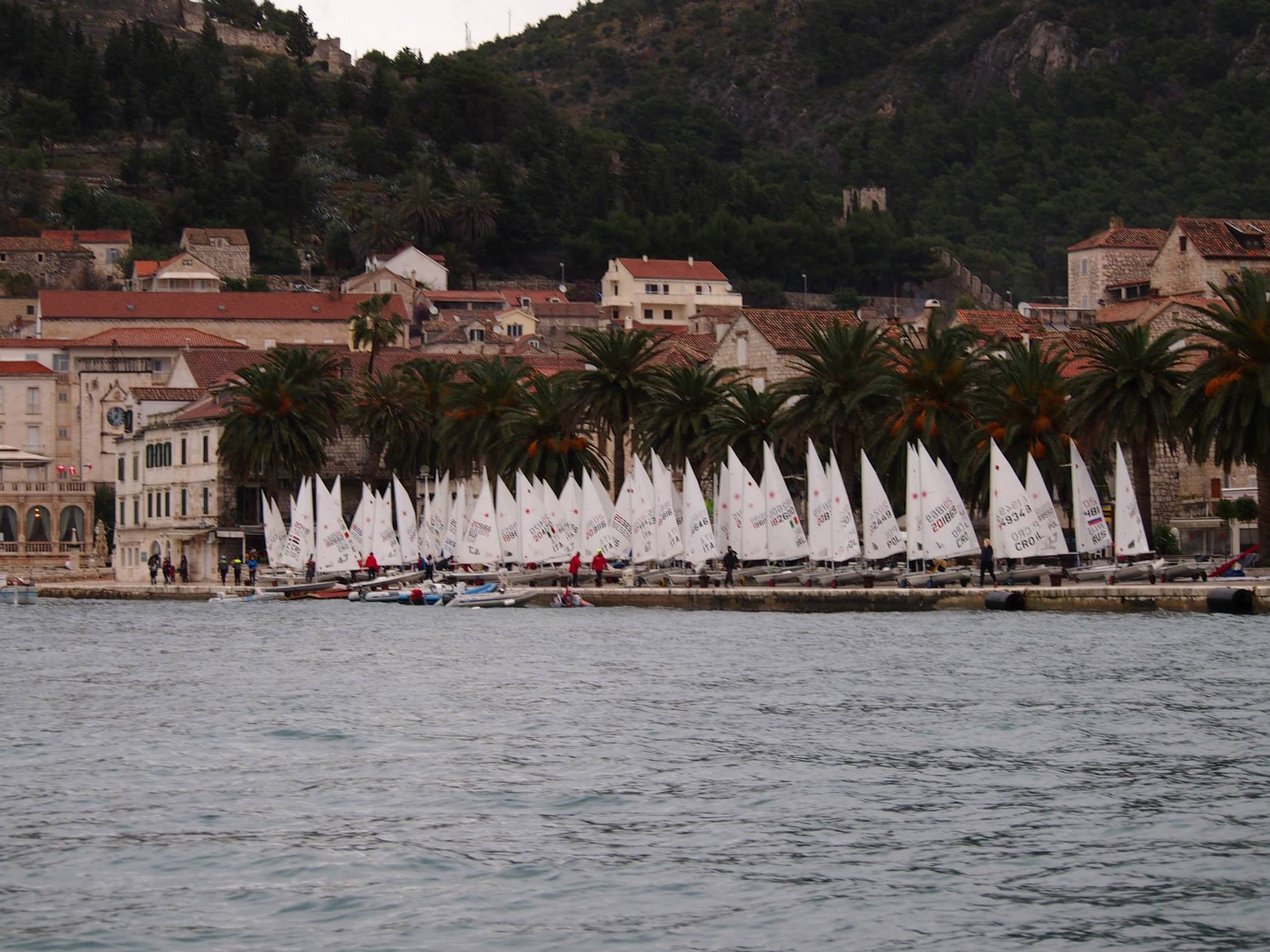 38. Međunarodna novogodišnja regata — Optimist, Hvar, prosinac 2014. — fotografija 1 od 57 (foto: Viktorija Nižetić)