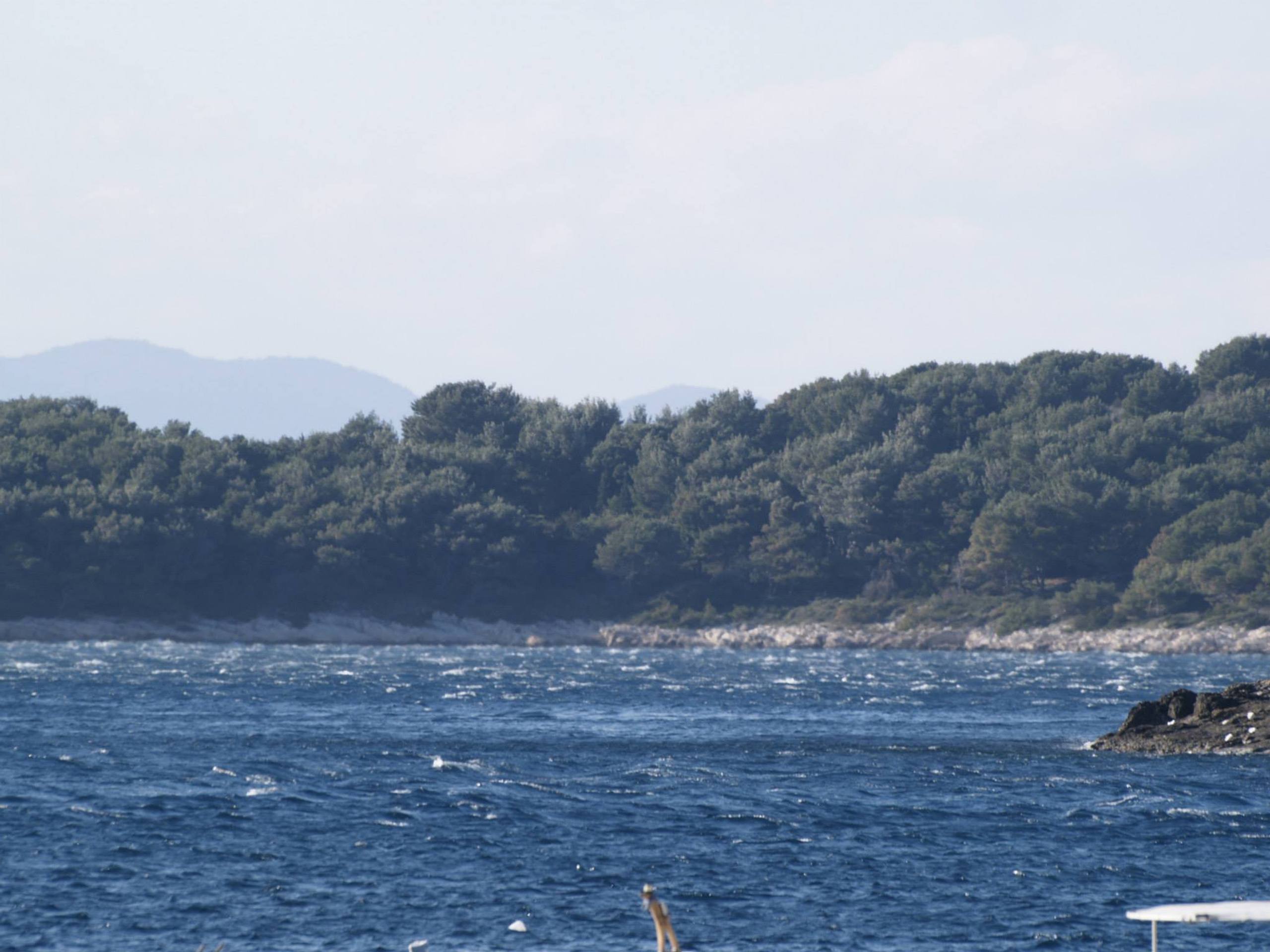 38. Međunarodna novogodišnja regata — Laser, Hvar, prosinac 2014. — fotografija 38 od 43 (foto: Zoran Jakšić Mrva)