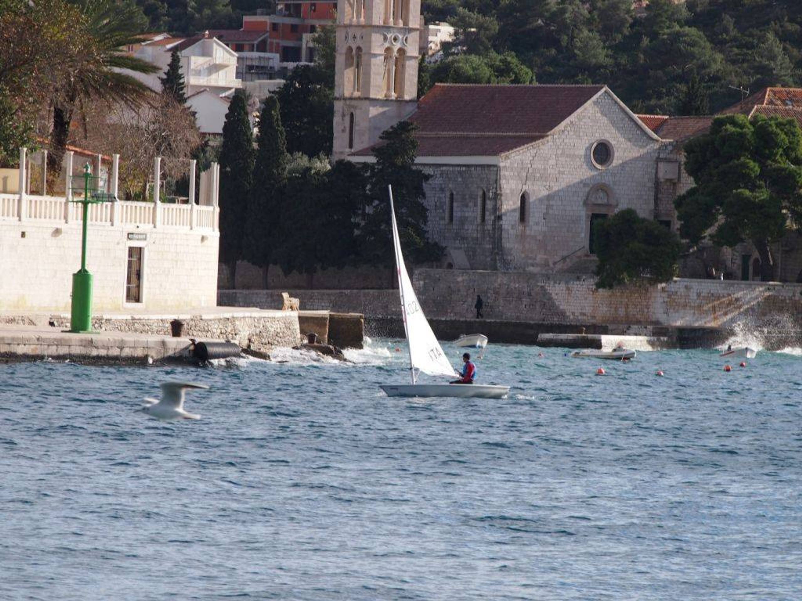 36. Međunarodna novogodišnja regata — Laser, Hvar, prosinac 2012. — fotografija 20 od 77