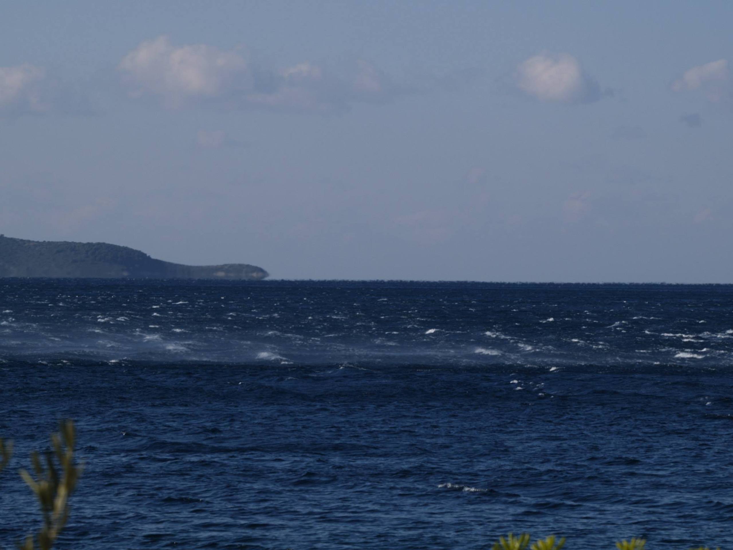 38. Međunarodna novogodišnja regata — Laser, Hvar, prosinac 2014. — fotografija 41 od 43 (foto: Zoran Jakšić Mrva)