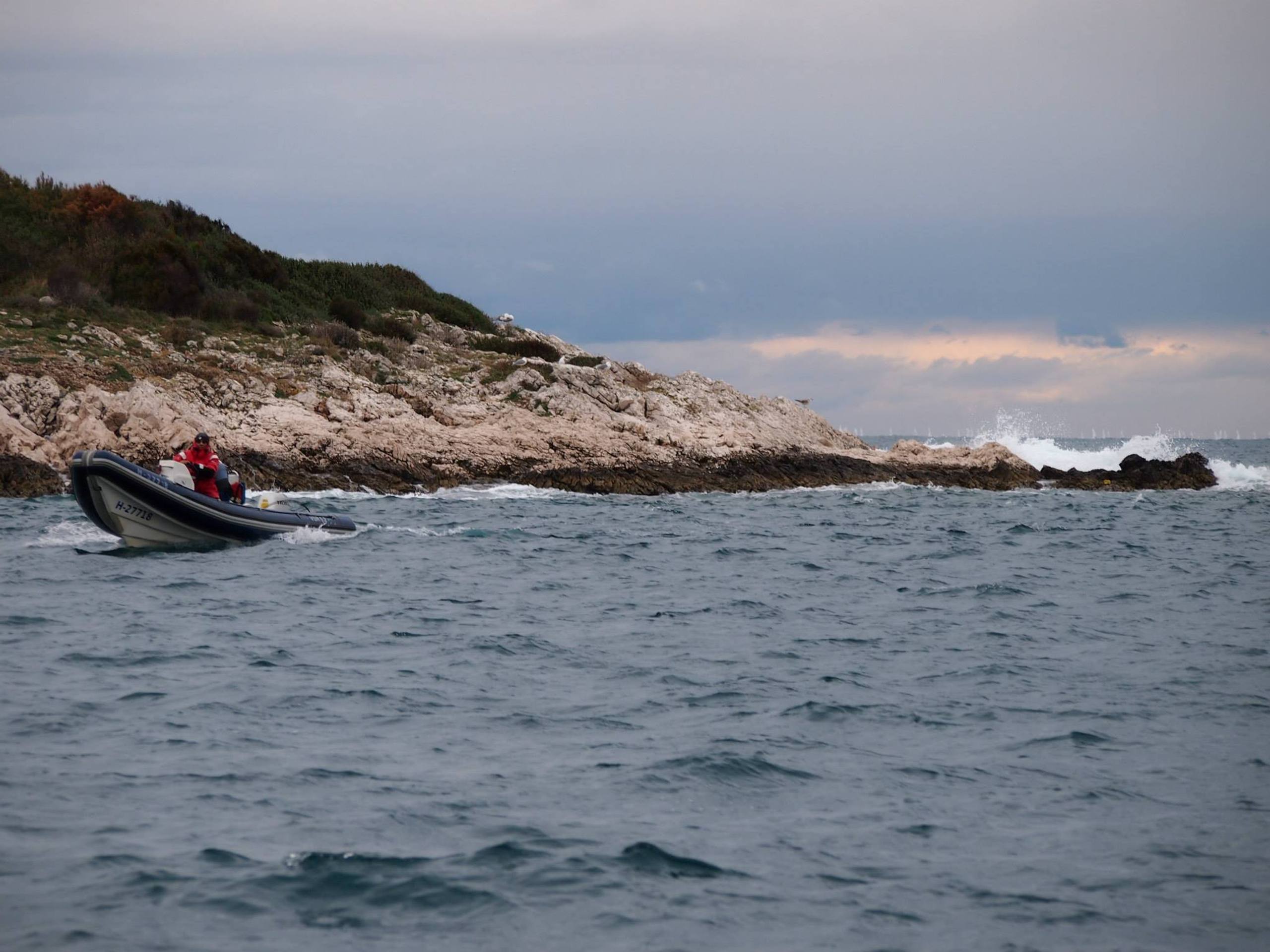 38. Međunarodna novogodišnja regata — Optimist, Hvar, prosinac 2014. — fotografija 27 od 57 (foto: Viktorija Nižetić)