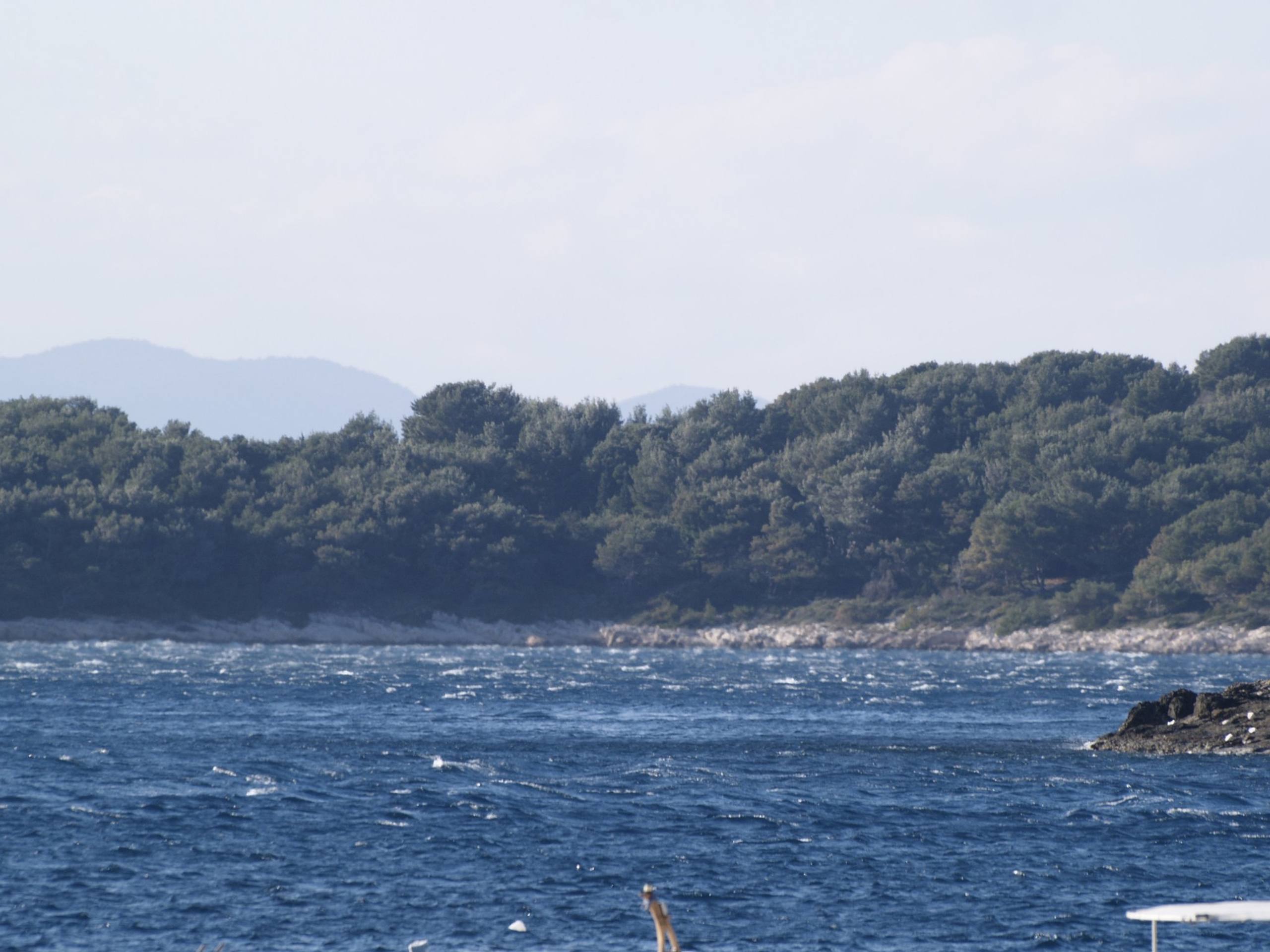 38. međunarodna novogodišnja regata, Hvar, prosinac 2014.