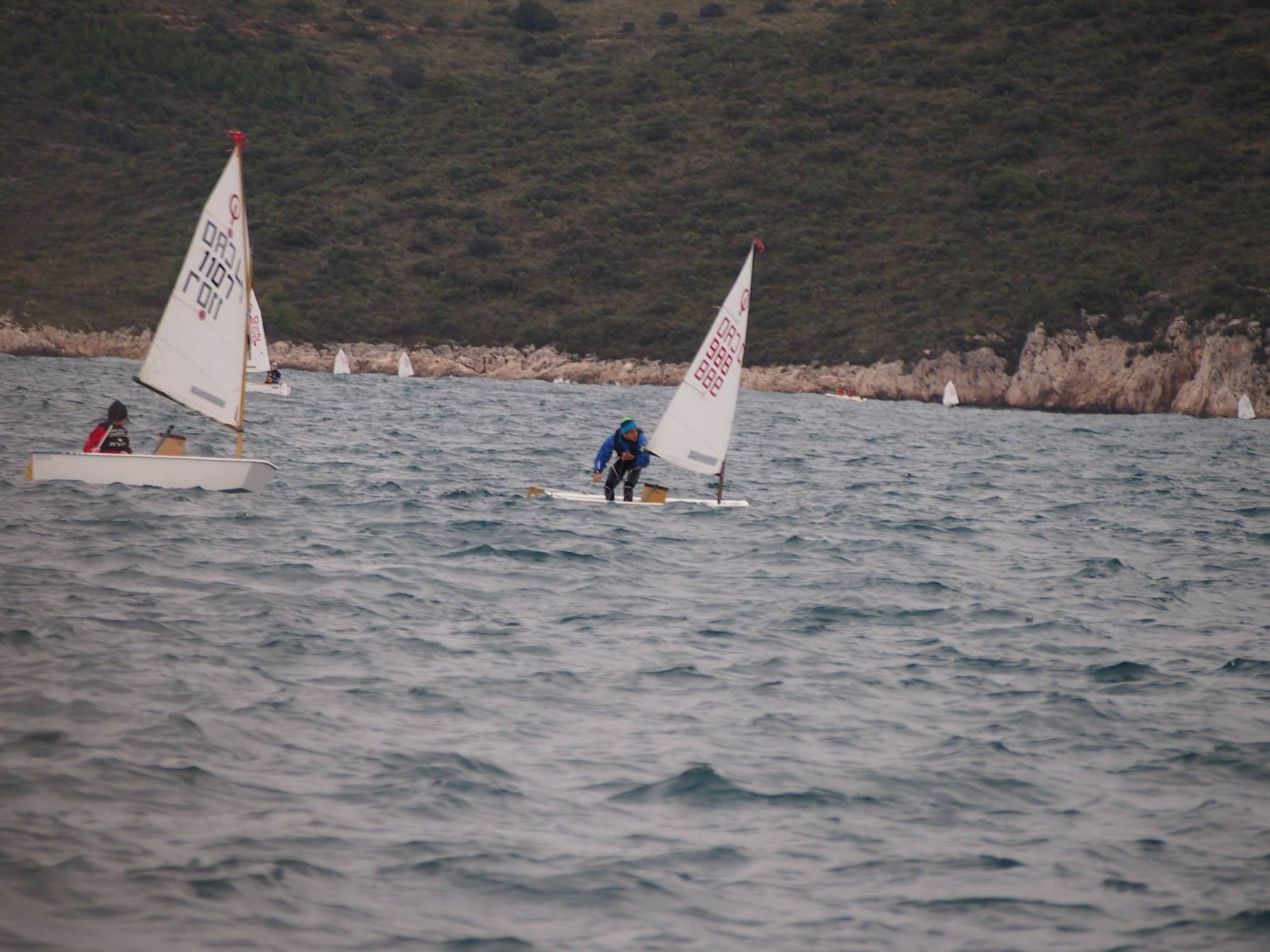 38. Međunarodna novogodišnja regata — Optimist, Hvar, prosinac 2014. — fotografija 26 od 57 (foto: Viktorija Nižetić)