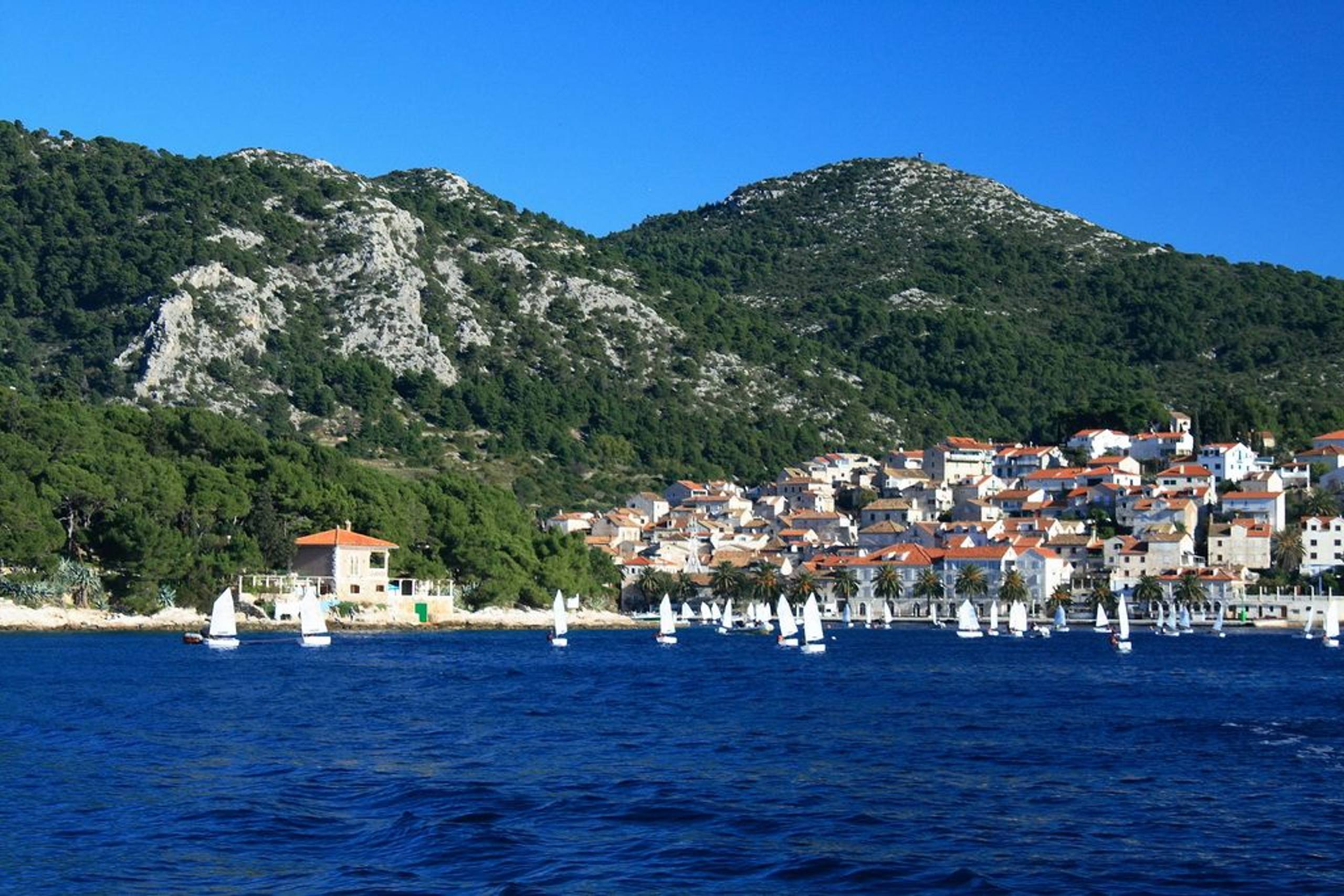 34. Međunarodna novogodišnja regata — Cucin, Hvar, prosinac 2010. — fotografija 9 od 78