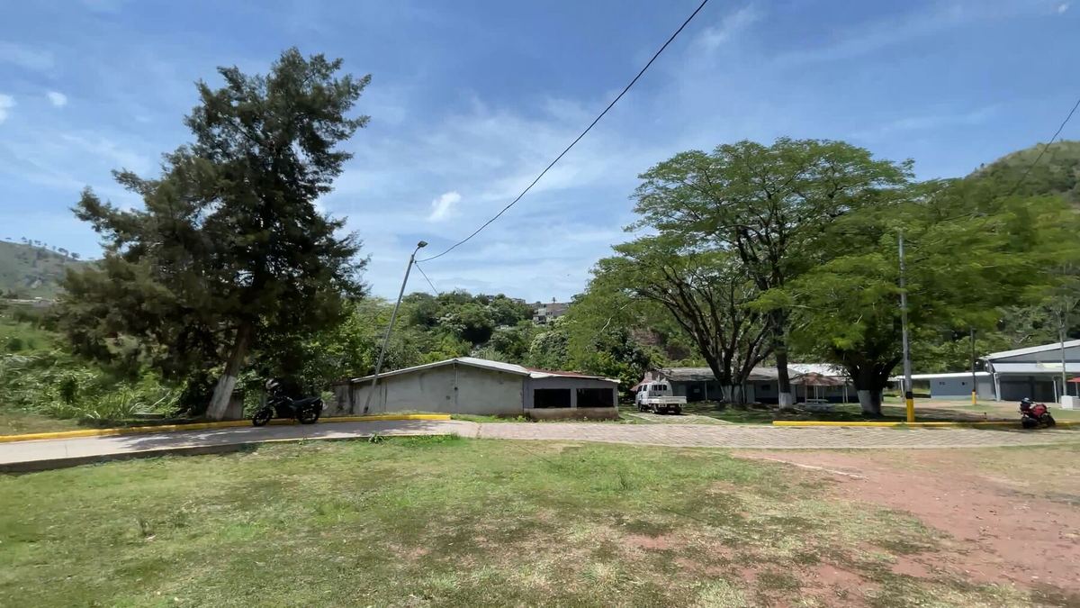 Los alrededores de la casa modelo: árboles grandes, una calle y construcciones bajas bajo el cielo despejado.