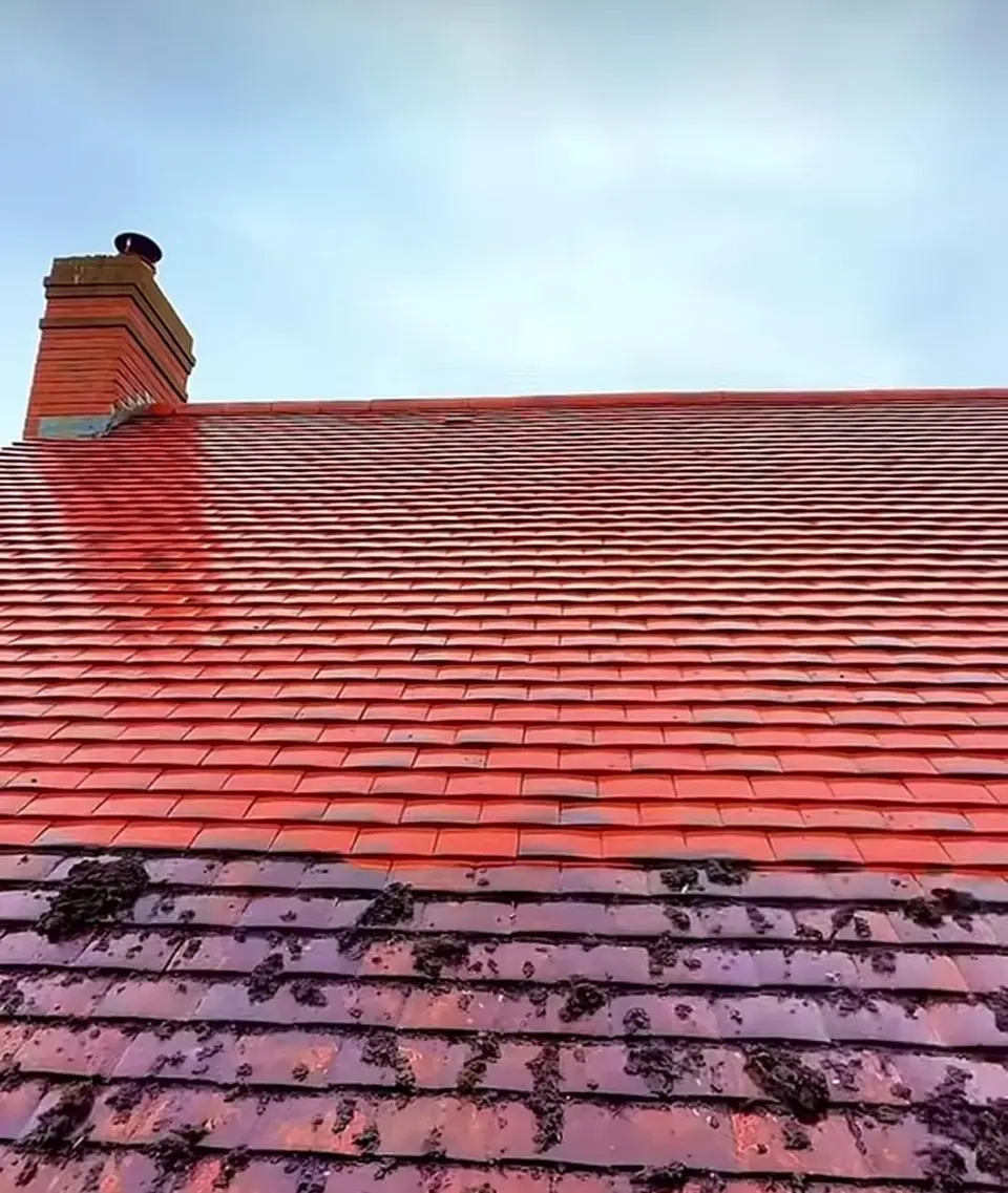 Roof Cleaning in Essex