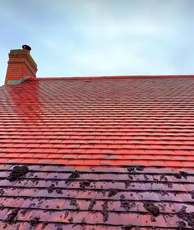 Roof Cleaning