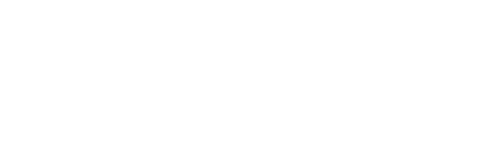 NLZIET logo