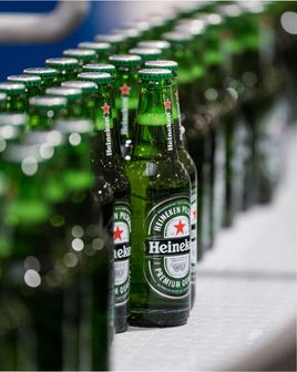 Dozens of Heineken bottles lined up at an assembly line.