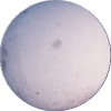 Moon Magic