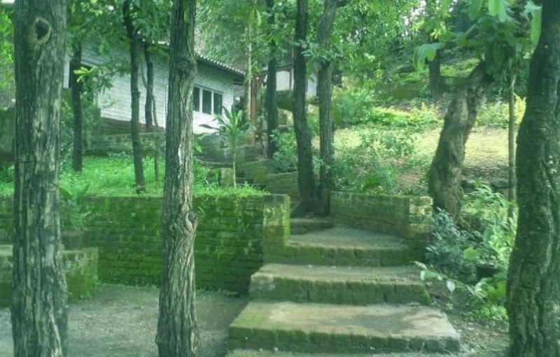 Dabhosa Waterfall Camp