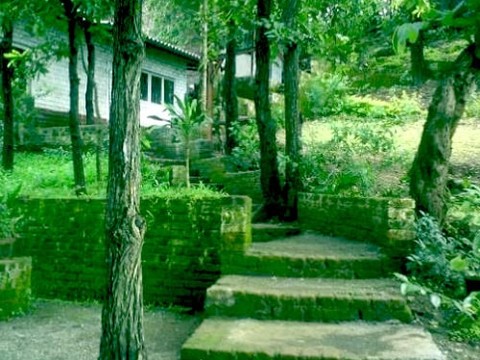 Dabhosa Waterafll Resort