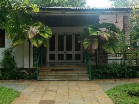 Pinewood Resort
