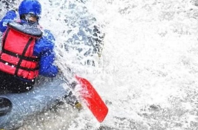 Dandeli