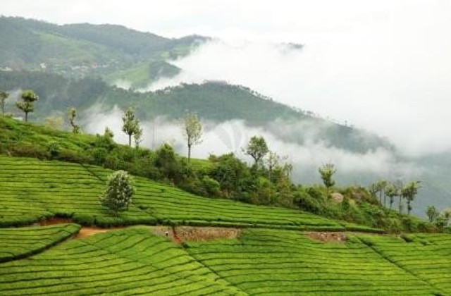 Ooty